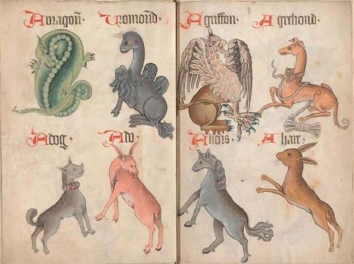 Những sự thật thú vị về việc nuôi chó làm thú cưng vào thời Trung Cổ