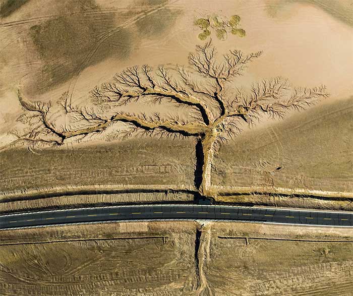 Những tác phẩm thắng giải cuộc thi ảnh thiên nhiên 2022