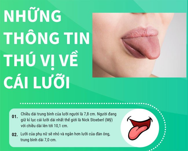 Những thông tin thú vị về lưỡi của chúng ta