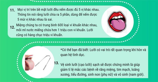 Những thông tin thú vị về lưỡi của chúng ta