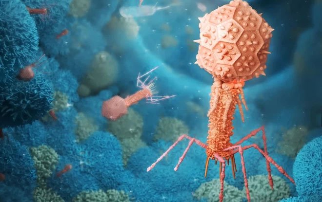 Những virus có bộ gene ngoài hành tinh sẽ khiến sách giáo khoa sinh học phải được viết lại