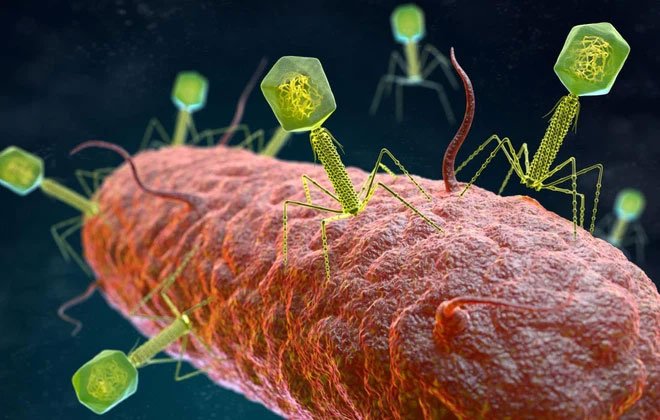 Những virus có bộ gene ngoài hành tinh sẽ khiến sách giáo khoa sinh học phải được viết lại