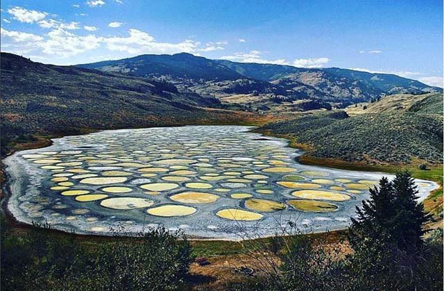 Những vòng tròn kỳ lạ trên hồ nước được tin có tác dụng chữa bệnh