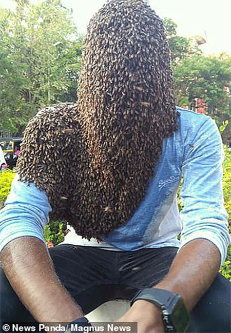 Nổi gai ốc với chàng trai người ong: 60.000 con làm tổ trên mặt vẫn không hề hấn gì