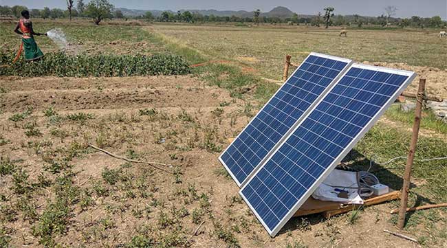 Nông dân Ấn Độ dùng… năng lượng Mặt trời để tưới cây