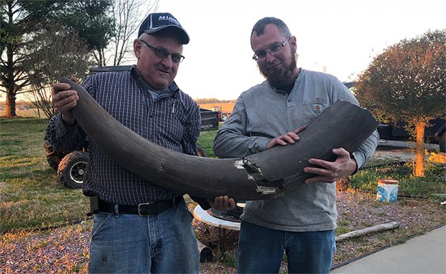 Nông dân phát hiện siêu voi huyền thoại mastodon giữa đồng