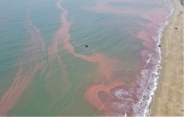 Nước biển ở huyện Cẩm Xuyên, Hà Tĩnh xuất hiện vệt đỏ lạ dài 3km