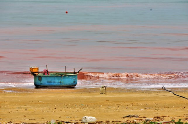 Nước biển ở huyện Cẩm Xuyên, Hà Tĩnh xuất hiện vệt đỏ lạ dài 3km