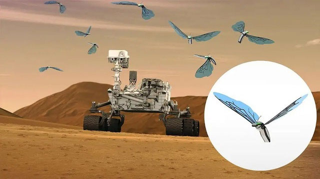 Ong robot Marsbees: Đội quân thám hiểm tí hon chinh phục sao Hỏa