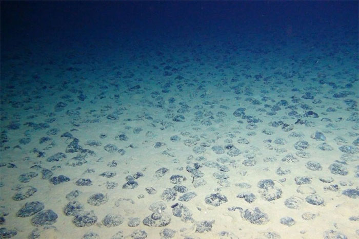 Oxy đen kỳ lạ được phát hiện dưới vực thẳm Thái Bình Dương là gì?