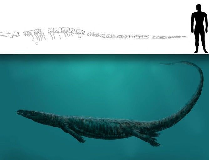 Pannoniasaurus: Quái vật dài 6 mét ở vùng nước ngọt của Hungary