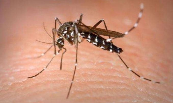 Paris tìm cách xóa sổ muỗi trước Olympics