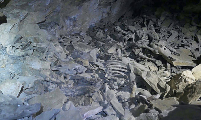 Phát hiện 100 bộ xương người trong cụm hang động cao 5.000m