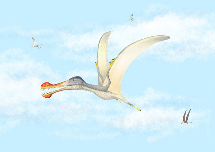 Phát hiện ba loài thằn lằn bay có răng lớn