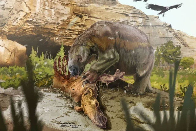 Phát hiện bằng chứng đầu tiên về việc loài lười khổng lồ cổ đại không phải là động vật ăn chay