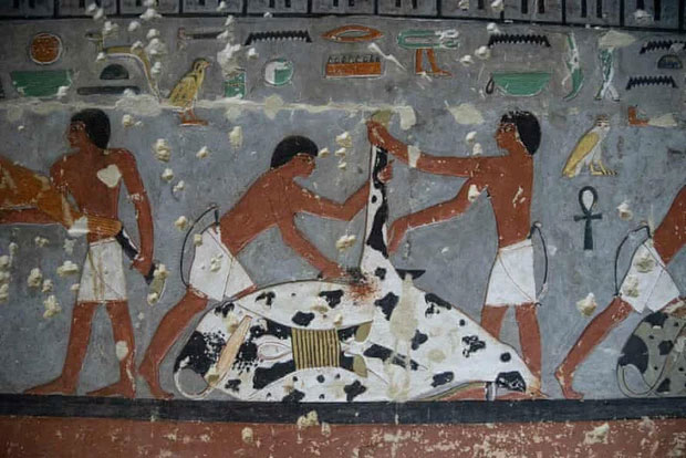 Phát hiện “chấn động lịch sử” trong xác ướp 4.000 năm tuổi: Sử sách buộc phải viết lại!