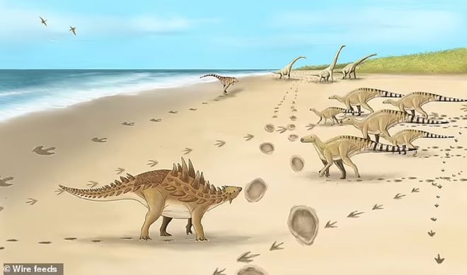 Phát hiện dấu chân của loài khủng long cuối cùng cách đây 110 triệu năm