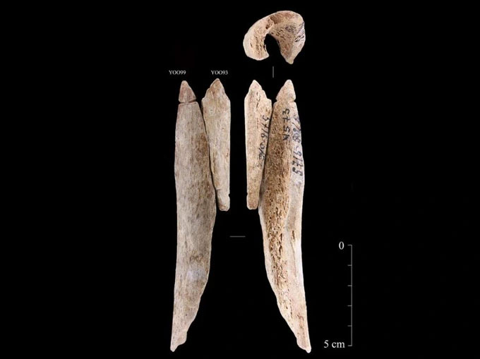 Phát hiện đồ trang trí bằng xương người 8.000 năm tuổi từ người tiền sử