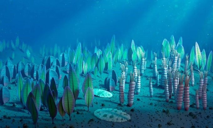 Phát hiện gene của quái vật biển 5 triệu năm tuổi trong cơ thể người