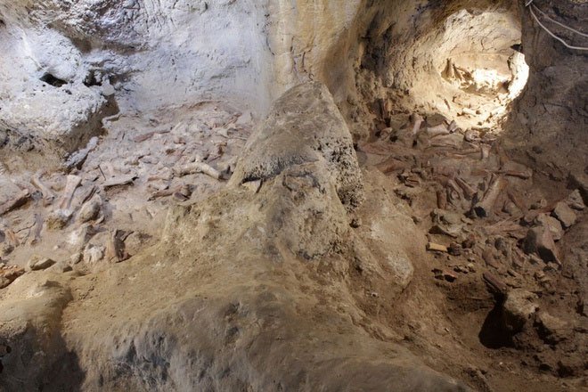 Phát hiện hài cốt của 9 người Neanderthal bị linh cẩu tấn công