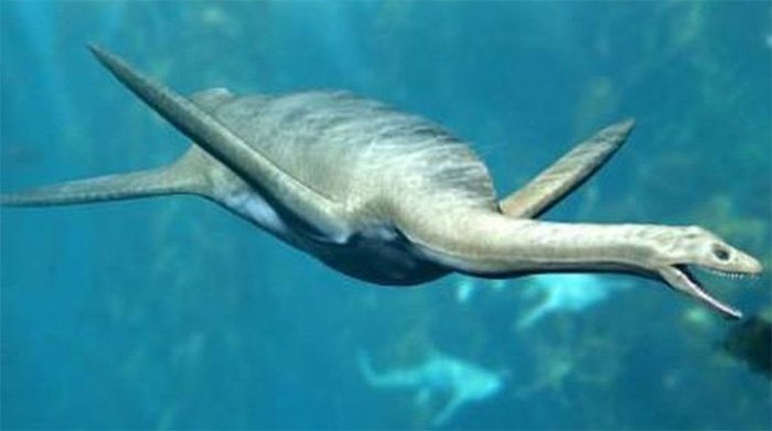 Phát hiện hài cốt thằn lằn đầu rắn chưa từng biết, 67 triệu tuổi