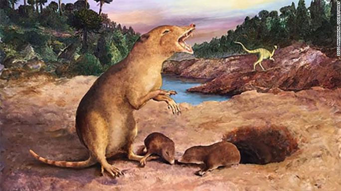 Phát hiện hài cốt vị tổ tiên đầu thời khủng long của chúng ta