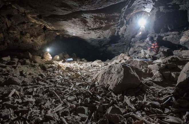 Phát hiện hang động chứa đầy xương được linh cẩu cất giấu hàng nghìn năm qua, có cả xương người tiền sử