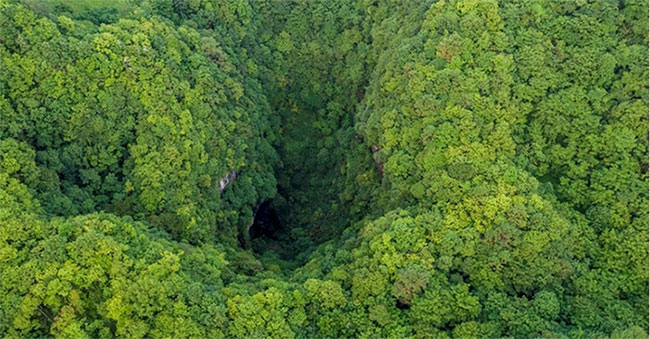 Phát hiện hang động chứa đựng một khu rừng nguyên sinh