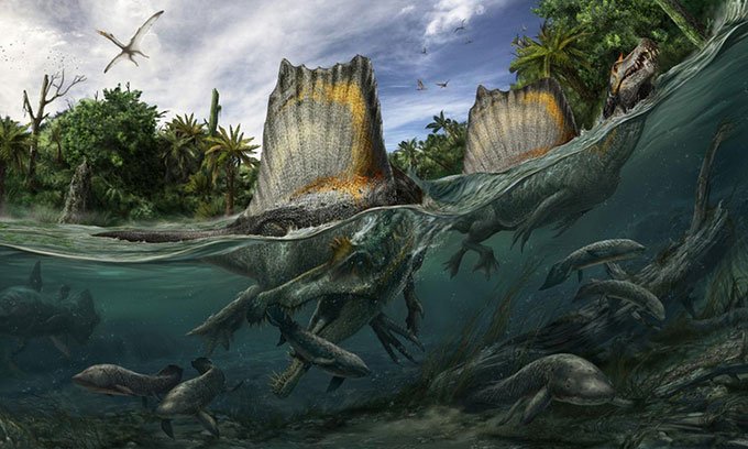 Phát hiện hàng trăm chiếc răng của khủng long săn mồi lớn nhất
