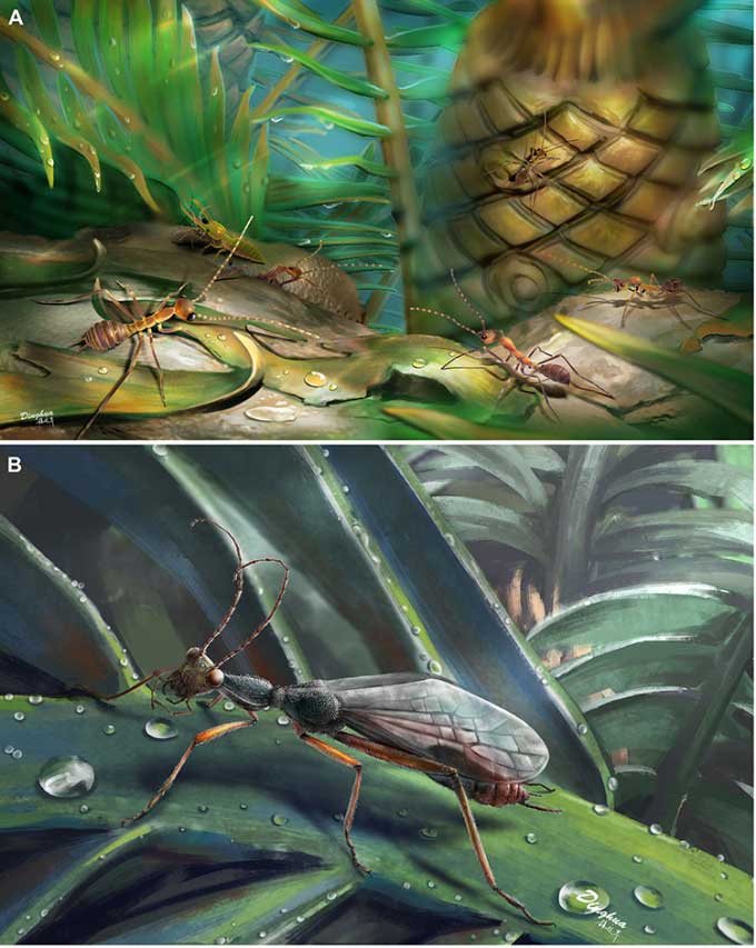 Phát hiện hổ phách 100 triệu năm chứa côn trùng giả kiến
