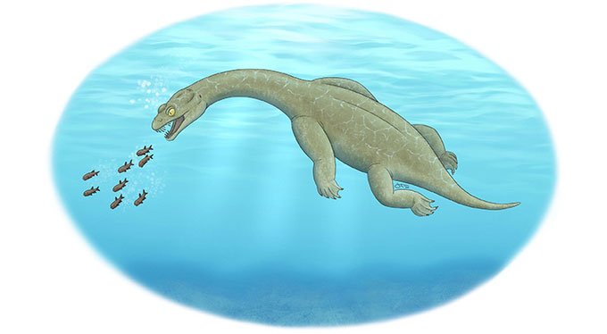 Phát hiện hóa thạch bò sát biển kỳ dị 240 triệu năm tuổi