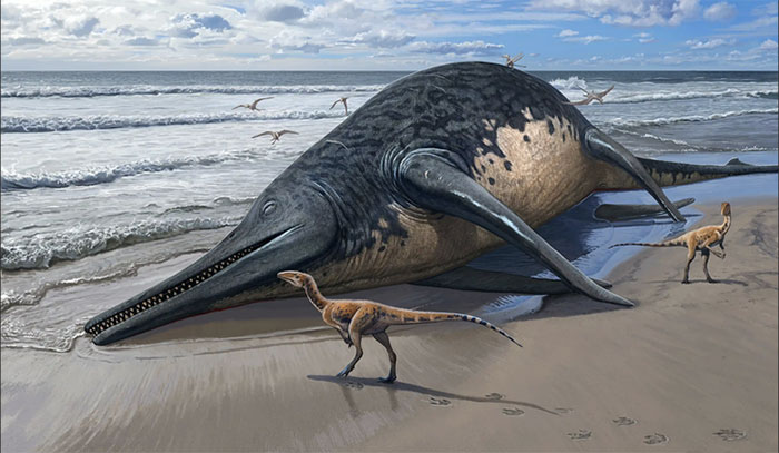 Phát hiện hóa thạch bò sát biển lớn nhất, dài tới 25m