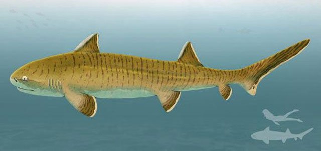 Phát hiện hóa thạch cá mập kỷ Jura được bảo quản cực tốt ở Đức