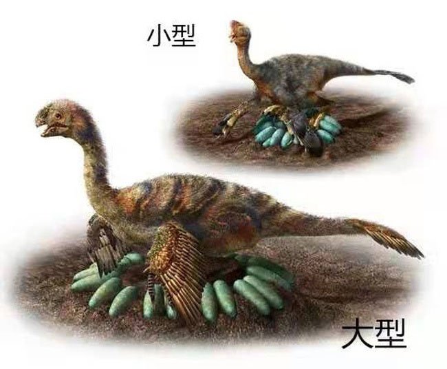 Phát hiện hóa thạch khủng long 70 triệu năm cùng trứng còn nguyên phôi
