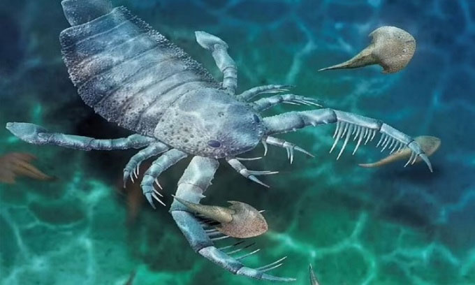Phát hiện hóa thạch loài bọ cạp biển tiền sử to bằng con chó