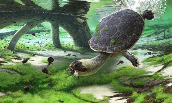 Phát hiện hóa thạch rùa mặt ếch cổ đại chuyên hút mồi