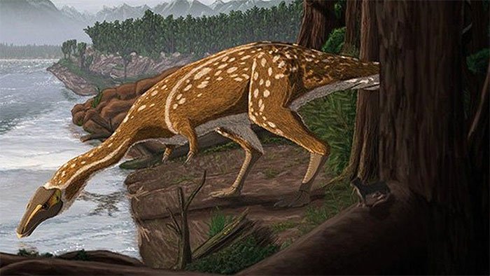 Phát hiện hoá thạch siêu hiếm của khủng long cổ dài họ hàng với T-rex