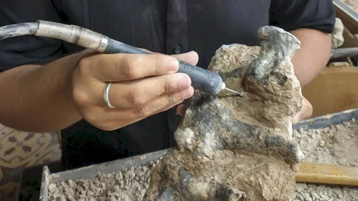 Phát hiện hóa thạch tê tê khủng long nặng 200kg ở Argentina