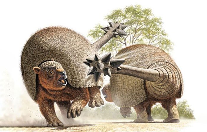 Phát hiện hóa thạch thú có mai 20.000 năm tuổi