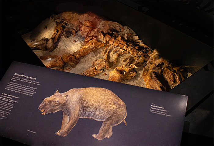 Phát hiện kinh dị: Hài cốt quái thú có túi nặng gần 3 tấn