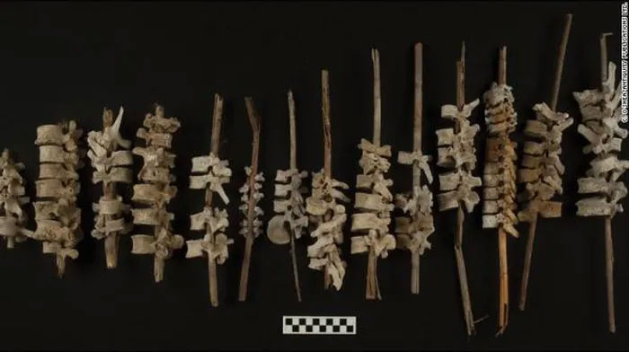Phát hiện kỳ thú từ gần 200 mẫu xương người được tìm thấy tại Peru