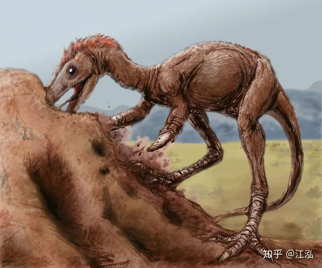 Phát hiện loài động vật hai ngón chuyên ăn cắp trứng khủng long