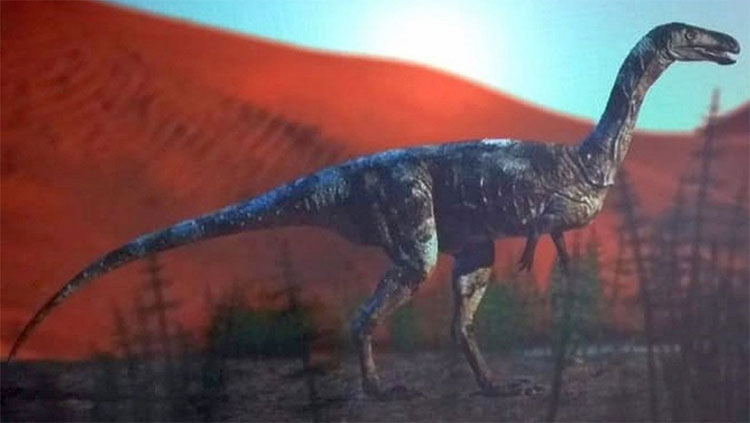 Phát hiện loài khủng long ăn thịt mới từng sống ở sa mạc