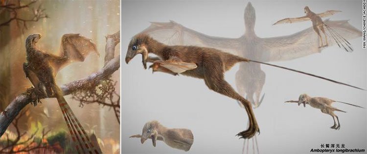 Phát hiện loài khủng long có cánh dơi tại Trung Quốc