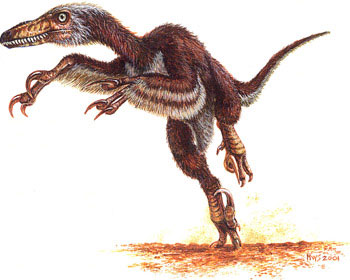 Phát hiện loài khủng long lai chim chưa từng biết ở Trung Quốc