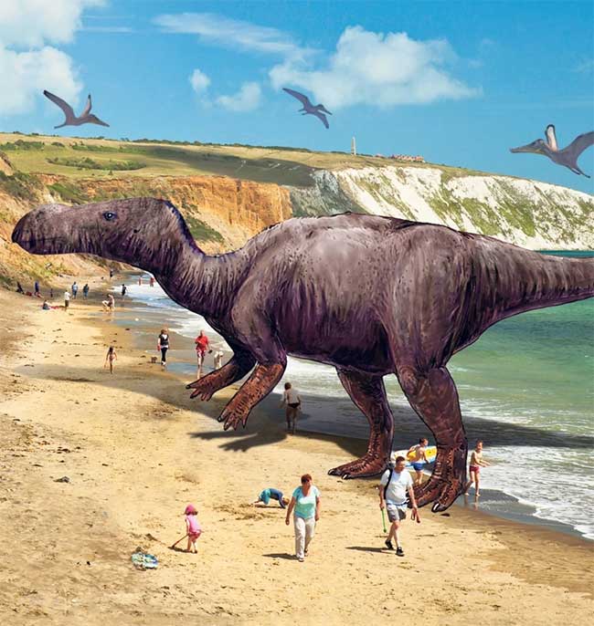 Phát hiện loài khủng long mới từ kỷ Phấn Trắng