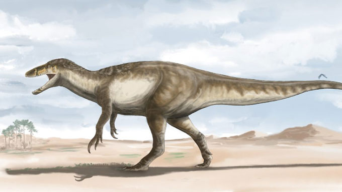 Phát hiện loài khủng long săn mồi khổng lồ mới, dài tới 10m
