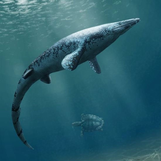 Phát hiện loài quái vật biển khổng lồ thời tiền sử khá giống cá sấu