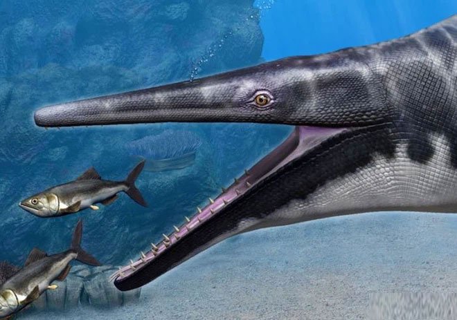 Phát hiện loài thương long mới sở hữu cá miệng của loài cá sấu