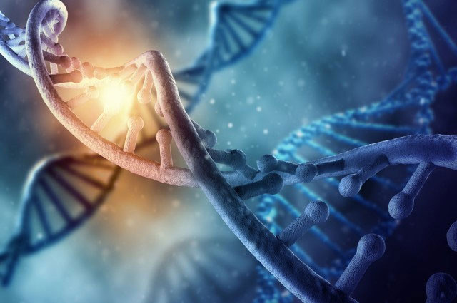 Phát hiện mới về DNA của con người
